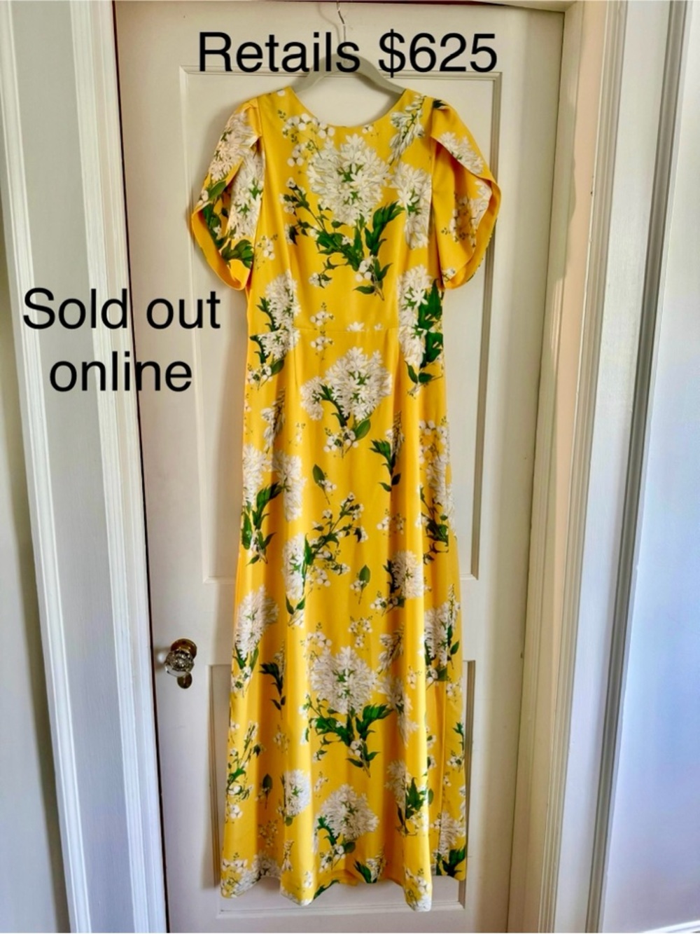 NWT Mestiza NY Katherine Maxi dress - Picture 9 of 11